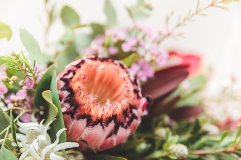 MansonWedding_HRD-2
